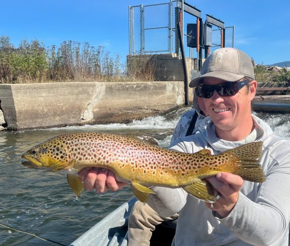 Guide David has been on a roll with big fish this fall! - Missoula Fall Fishing