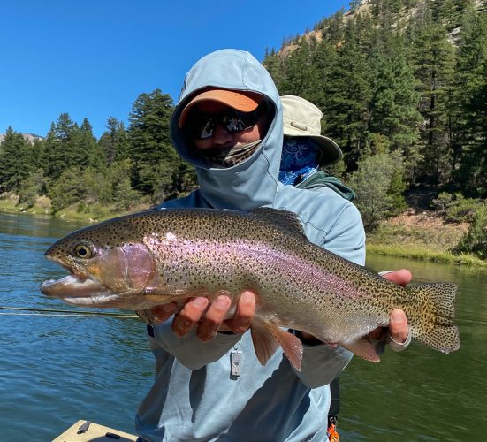 Another thick rainbow for the guys - Fall Fishing the Land of the Giants