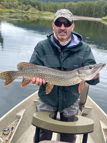 Another solid pike - Fall Fishing in Montana