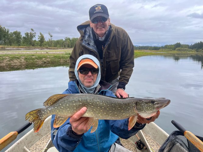 Steve capped it off with a couple more in our last spot - Fall Fishing in Montana