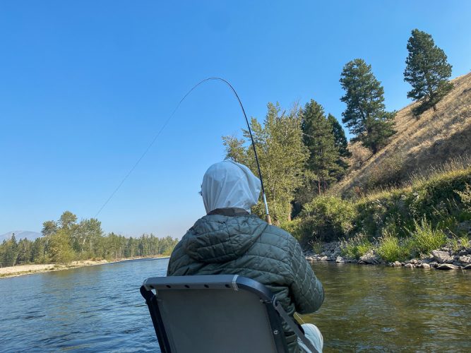 Herb bending the rod on a dry fly eater - Fall Fishing the Land of the Giants