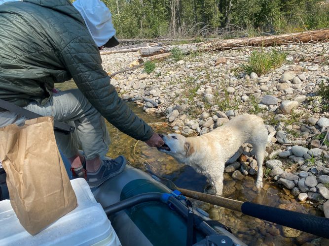 Gracie getting some treats at lunch - Fall Fishing the Land of the Giants